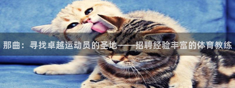 急速体育首页：那曲：寻找卓越运动员的圣地——招聘经验丰富的体育教练