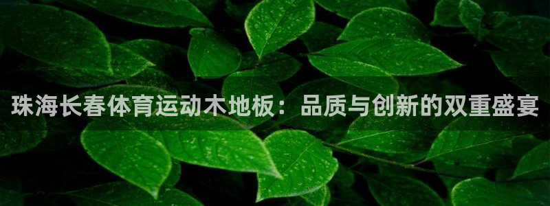 急速体育nba直播在线观看